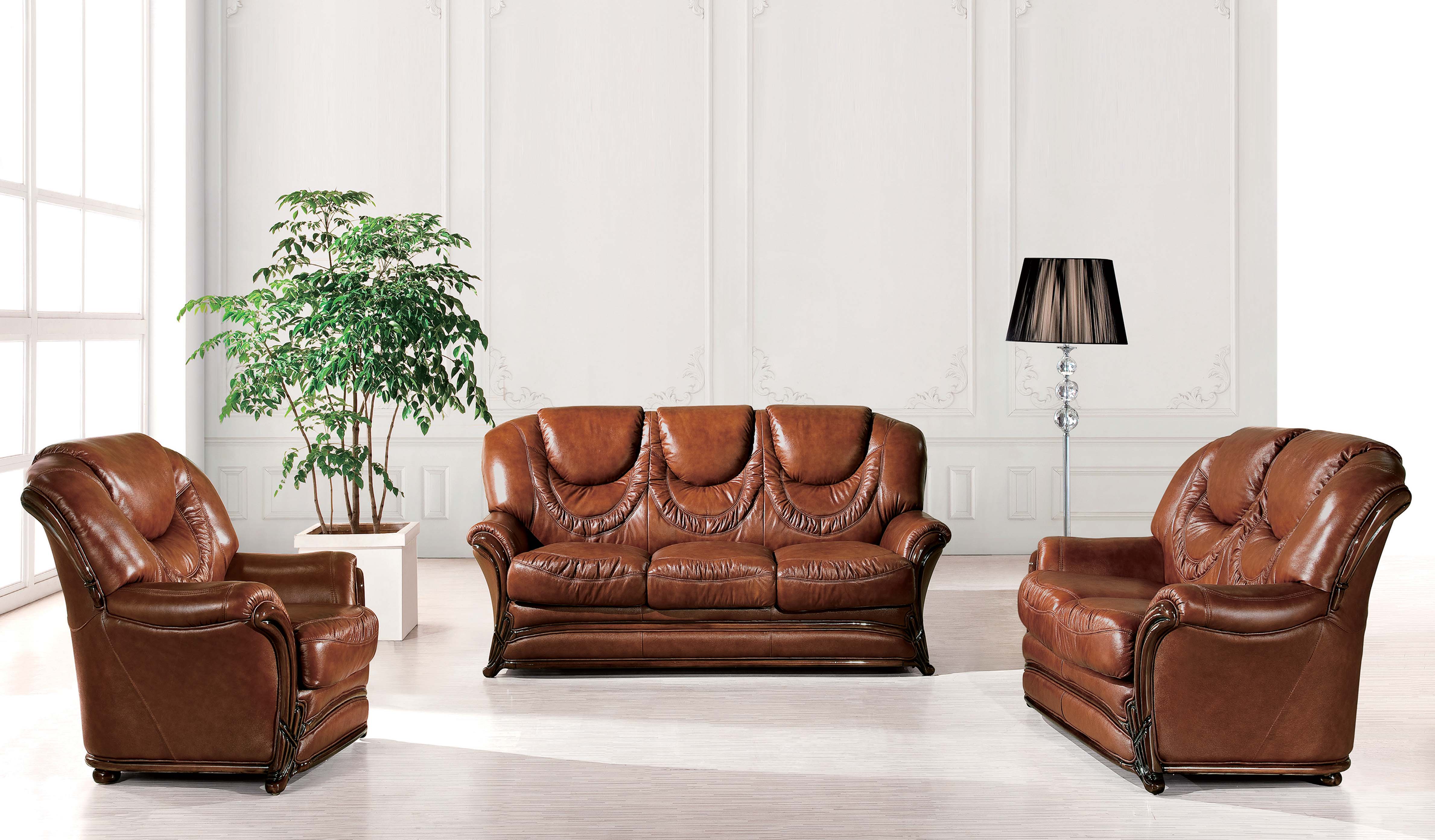 living room with leather sofa