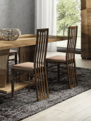 Picasso Dining Chairs